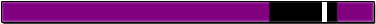 紫帯 ストライプ1本