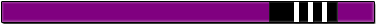 紫帯 ストライプ3本