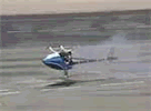 20050109_helicopter.gif