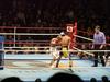 20050219_boxing05.jpg