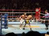 20050219_boxing06.jpg